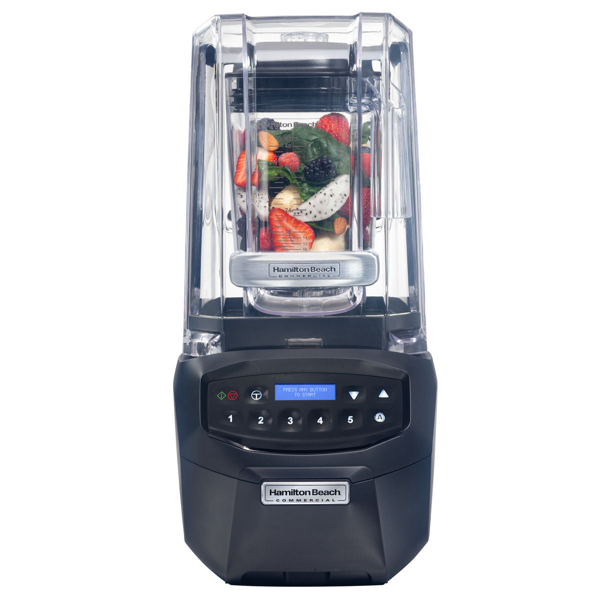 Hamilton Beach Blender (Summit Edge) front view with fruit ready to go
