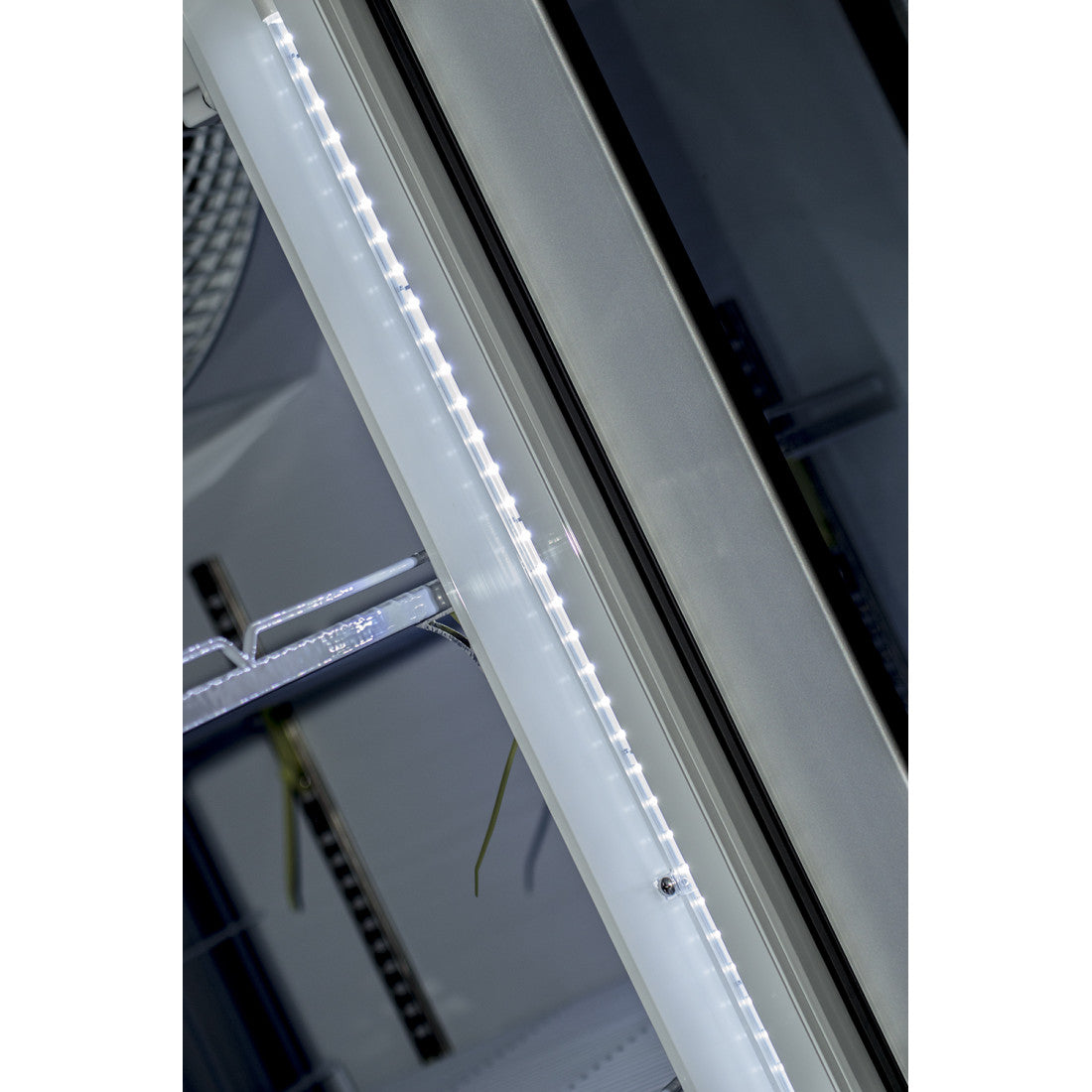 Prodis 1664L Triple Door Refrigerator (XPD1850-P-G-LE) close up on LED lighting